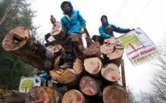 Zöld aktivisták tartóztattak fel farönköket szállító teherautókat a Fogarasi-havasokban