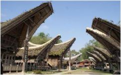 KISEBBSÉGBEN: Mit tanulunk a toradzsáktól?