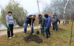 Közel 75 hektárnyi területet erdősít tavasszal a Bihar megyei erdészeti igazgatóság
