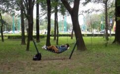 Gyönyörű tavaszi időjárás várható a hét második felében