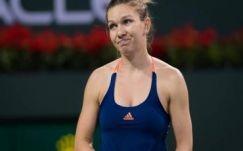 Világranglisták: Halep visszacsúszott egyet, Federer előrelépett négyet
