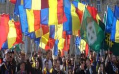 Rostás Péter István: Folytonos készenlét