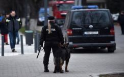 Robbanószerre „szakosodott” kutyákat vetnek be a Kolozsvár Arénánál