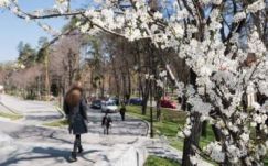 Időjárás: a hét közepén visszatér a tavasz