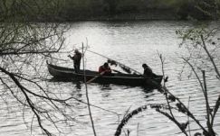 Grindeanu megtanítaná Dragneát lábon állni és esni