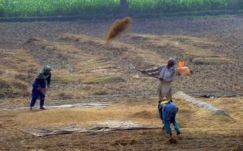 Riasztó ütemben apasztja a felszín alatti víztartalékokat az élelemtermelés