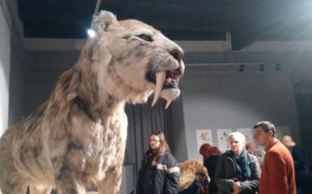 Székelyudvarhelyre érkezik a Jégkorszak