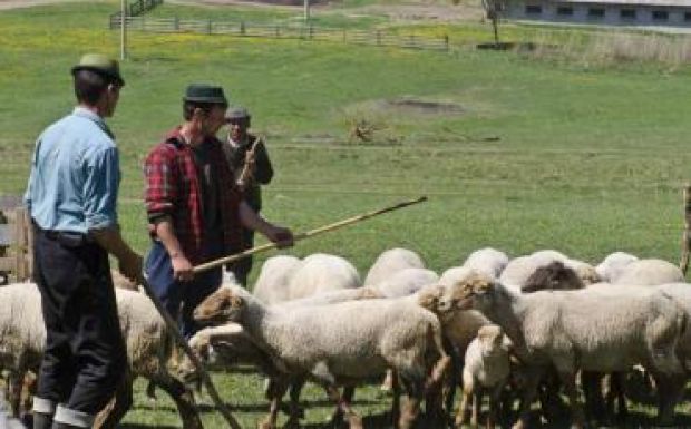 Májustól könnyebben alkalmazhatnak napszámosokat a gazdák