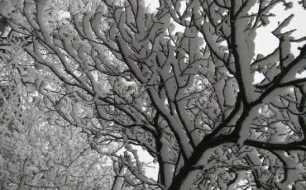 Vastag hóréteg borítja Székelyföldet, hétvégén fagyni fog