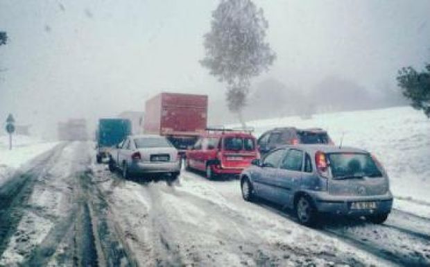 Újabb fa dőlt az úttestre, leállt a közlekedés az Ojtozi-hágón