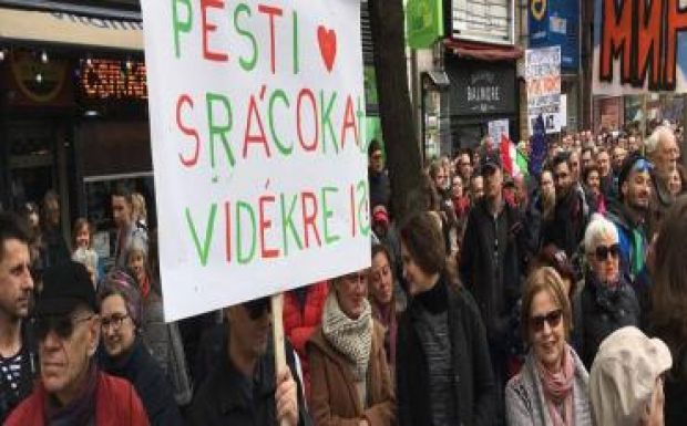 Papp Sándor Zsigmond: Anyám pártja