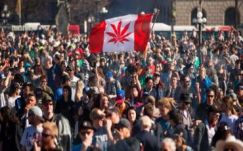 A kanadai kormány legalizálná a marihuána fogyasztását