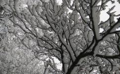 Vastag hóréteg borítja Székelyföldet, hétvégén fagyni fog