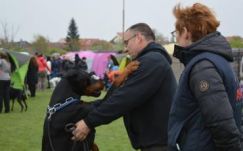 A kutyáké a főszerep a hét végén Szatmárnémetiben