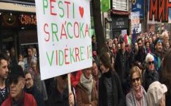 Papp Sándor Zsigmond: Anyám pártja