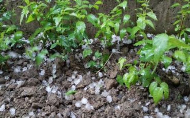 Jégeső, villámlás, zivatarok váltják az elmúlt napok nyárias időjárását