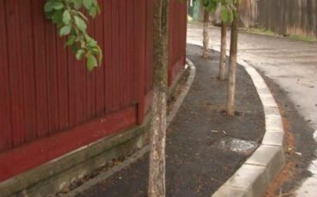 Meredek ötletekkel próbálnak bizonyítani az újonnan megválasztott polgármesterek