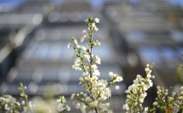 Hamarosan visszatér az igazi májusi idő