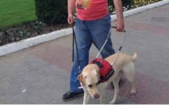 Megbírságolták a látássérültet megalázó buszsofőrt