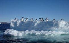 Az Antarktisztól akarnak jéghegyeket tolni az Arab-öbölbe az ivóvíz biztosítására