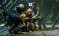 UNITER-gála: a Kolozsvári Állami Magyar Színházé a legjobb rendezés