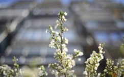 Hamarosan visszatér az igazi májusi idő