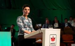 Csép Éva Andrea: az áldozat környezetéből azonnal el kell távolítani a bántalmazót