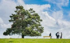  Janne Teller ifjúsági regénye alapján készült színházi előadást mutatnak be Gyergyószentmiklóson