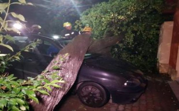 Aradon fákat döntött ki a vihar keddről szerdára virradólag