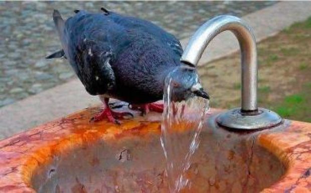 Hőhullám söpör végig Európán, így védekeznek a különböző országokban