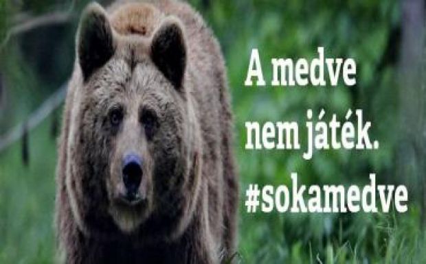 Medve-ügy: a környezetvédelmi miniszter fogadja a Hargita megyei küldötteket