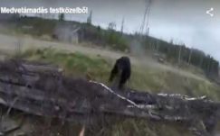 Élőben rögzítette a vadász, amint rátámad egy medve