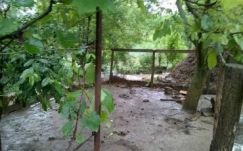 Áradások voltak Hargita megye több településén