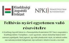 Nyári Egyetemet szervez a Kisebbségi Jogvédő Intézet