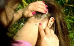 Több mint száz kullancscsípést és két kígyómarást jelentettek Hargita megyében