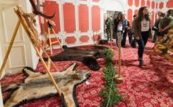 Már a turisták sincsenek biztonságban – így látják a vadászok a székelyföldi medvekérdést