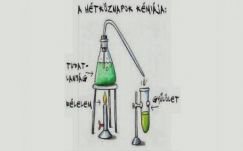 Papp Sándor Zsigmond: Regényes életünk