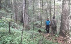 Kiugrott a mozgó buszból, mert nem tetszett neki az útvonal