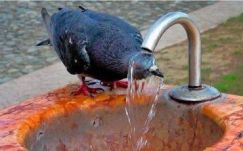 Hőhullám söpör végig Európán, így védekeznek a különböző országokban