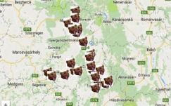 Maros megye is határozott lépést sürget a medvekérdésben