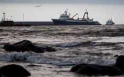 Először érkezett japán üzleti küldöttség a Kuril-szigetekre