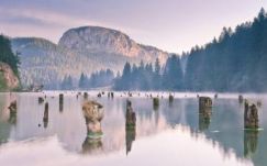 Összefogott a gyergyói és a békási férfi a galaci ellen