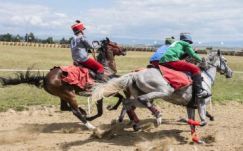 Huszonöt lovas áll rajthoz a Székely Vágtán 