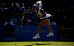 Eastbourne: Wozniacki megállította Halepet 