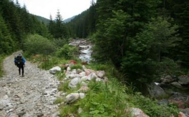 Vipera mart meg egy egyetemi hallgatót a Retyezát-hegységben