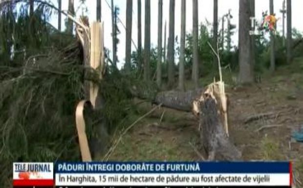 Hatalmas pusztítást végzett a Hargita megyei erdőkben a vihar