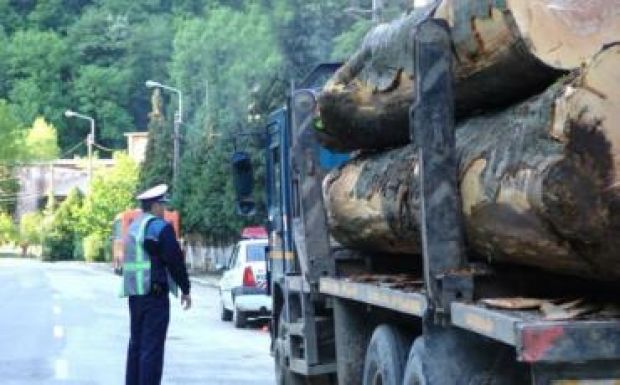 16 millió lejre büntetett erdészeti bűncselekményeket a rendőrség