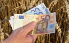 Október 15-től folyósítják az idei mezőgazdasági támogatásokat