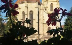 Városlakók bevonásával öltöztetnék virágba Kolozsvárt