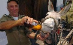 Felmérés: mennyit, mit és miért isznak az emberek Romániában?